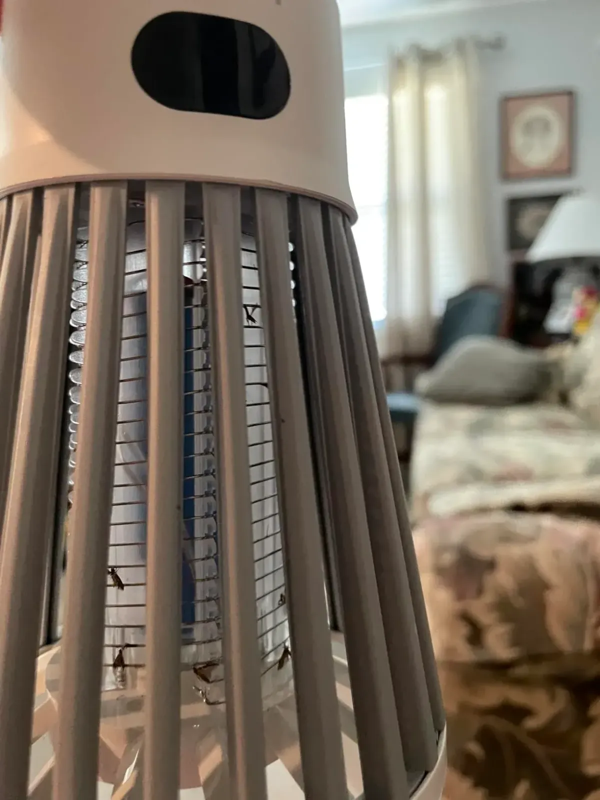 clima pest guard review 1